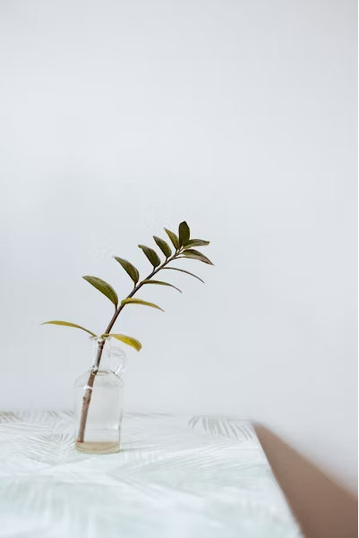 Strategic Investment Growth